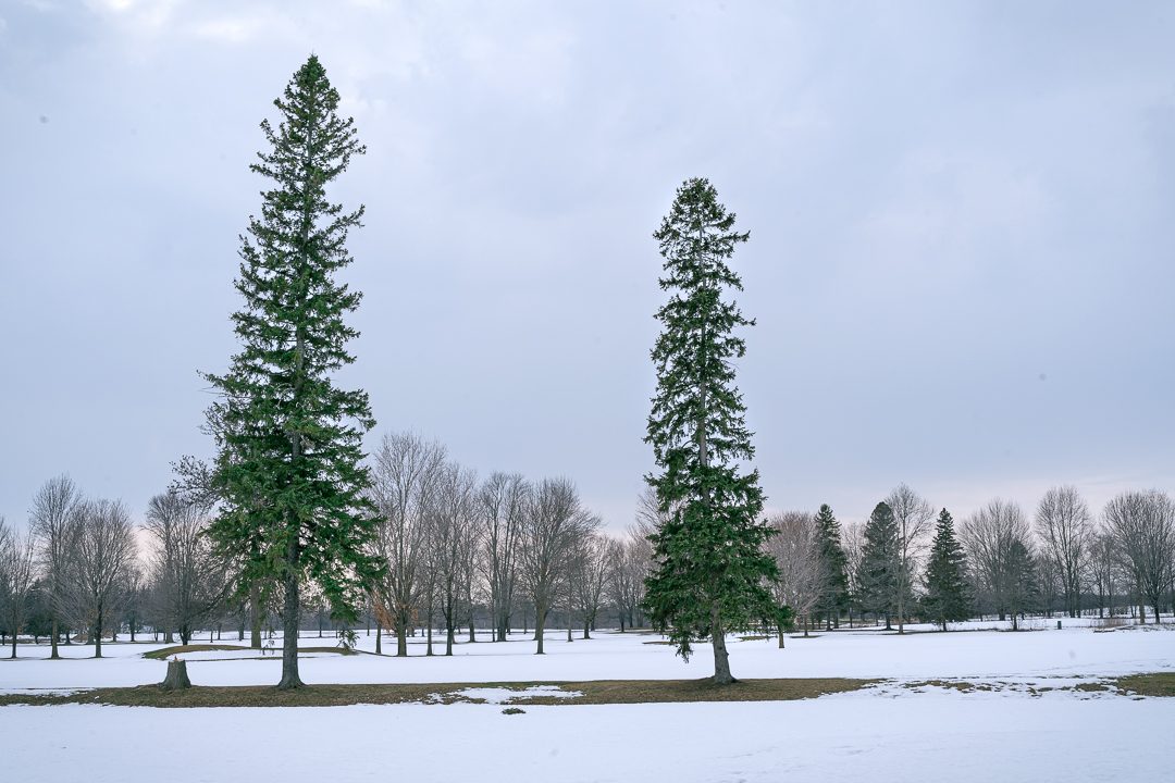 The Bay of Quinte Golf & Country Club experienced, like most golf courses in Canada, a 30 per cent increase in total rounds played in 2020, says Roger Lichty, owner of BOQGCC.