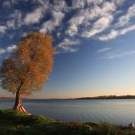 Lake Scugog.jpg