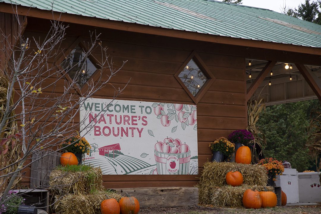 The market at Nature's Bounty Farm on a quiet Sunday morning.