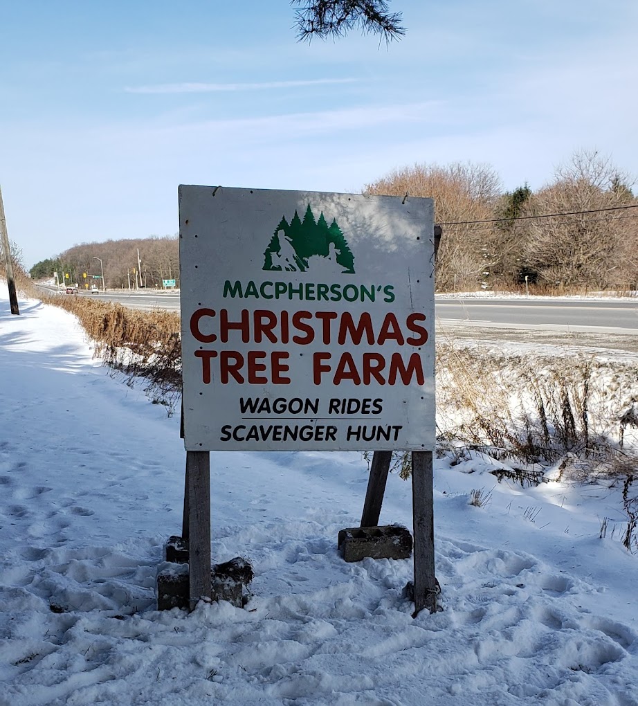 Business has been brisk at MacPherson's Christmas Tree Farm in Whitchurch-Stouffville this season.