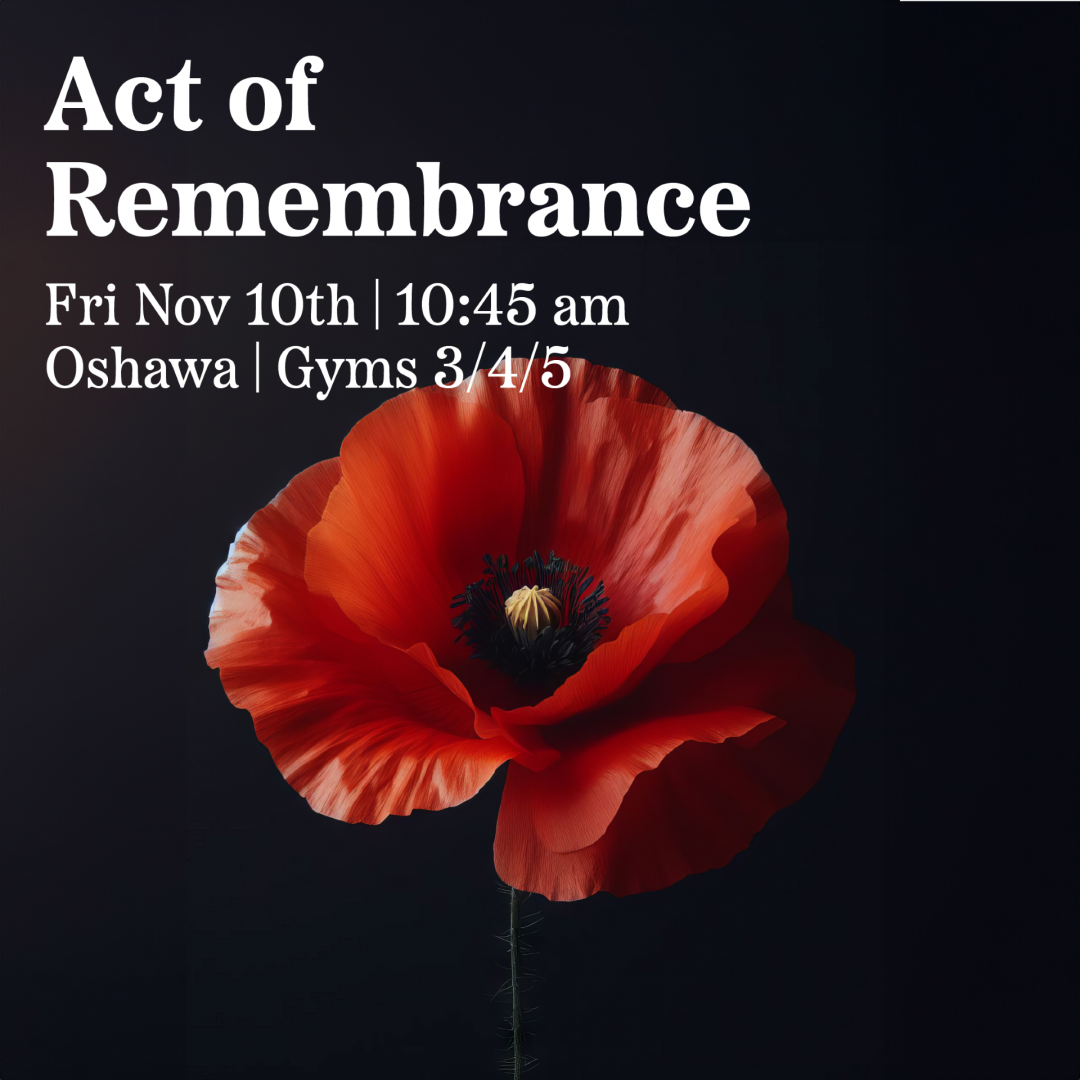 A single poppy below information for a Remembrance Day service.