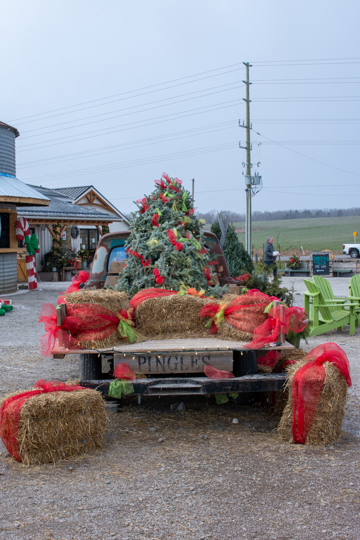 COURTICE, ONT. The Pingles Truck loaded up with christmas decorations and a tree as part of their winter events.