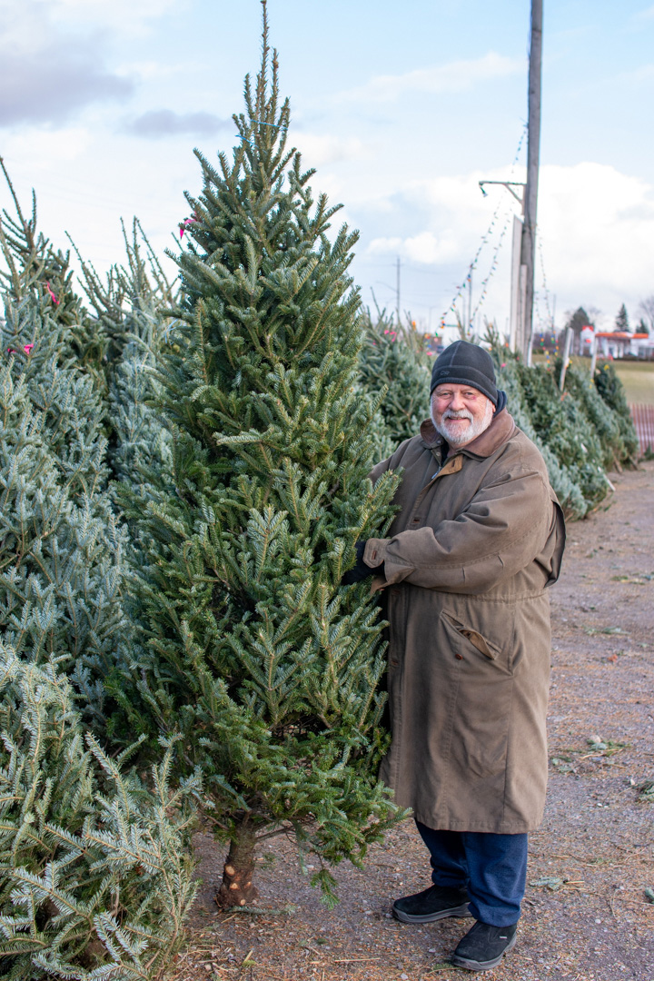 Bowmanville, Ont. Mike Desrochers stands with one of the trees he hopes to sell for the Bowmanville Rotary Club at Watson Farms.