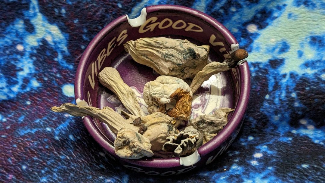 Pieces of psilocybin mushrooms, placed in an ashtray that says "Good Vibes." There is a backdrop from a space-designed blanket.
