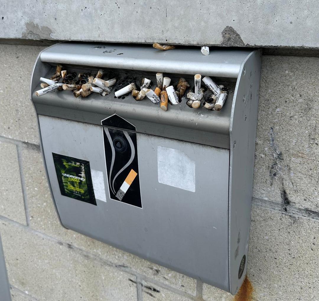 Microplastics and pollution: Cigarette butts contribute to environmental damage on campus