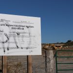 Site Alteration Permit