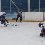 Davidson_Ridgebacks preview.jpg