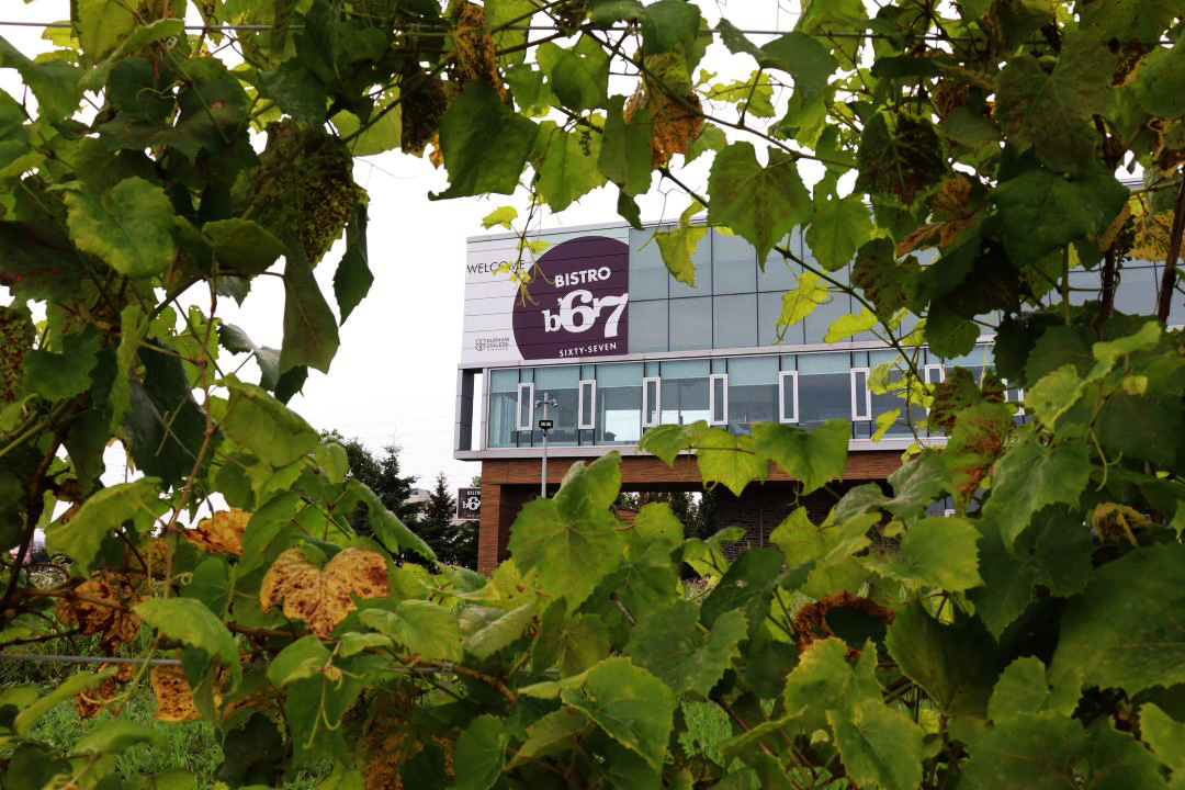 A sign saying Bistro '67 is framed by foliage.