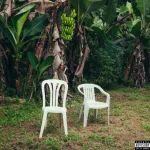 Debí Tirar Más Fotos_Bad Bunny_2025