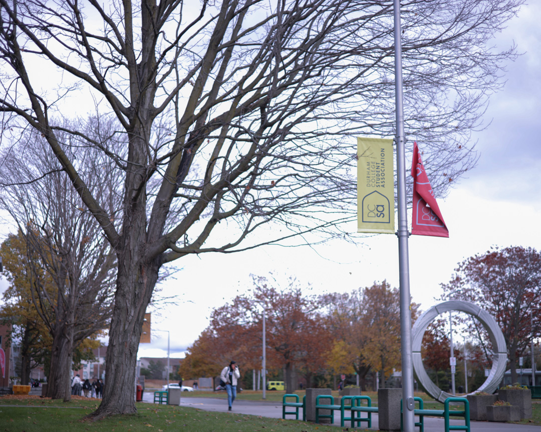 A sidewalk lined by trees and a flagpole.