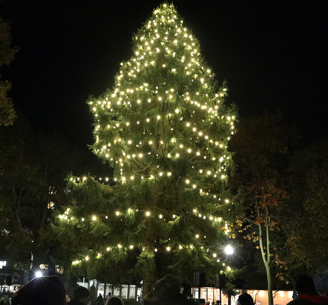 A large tree with white lights.