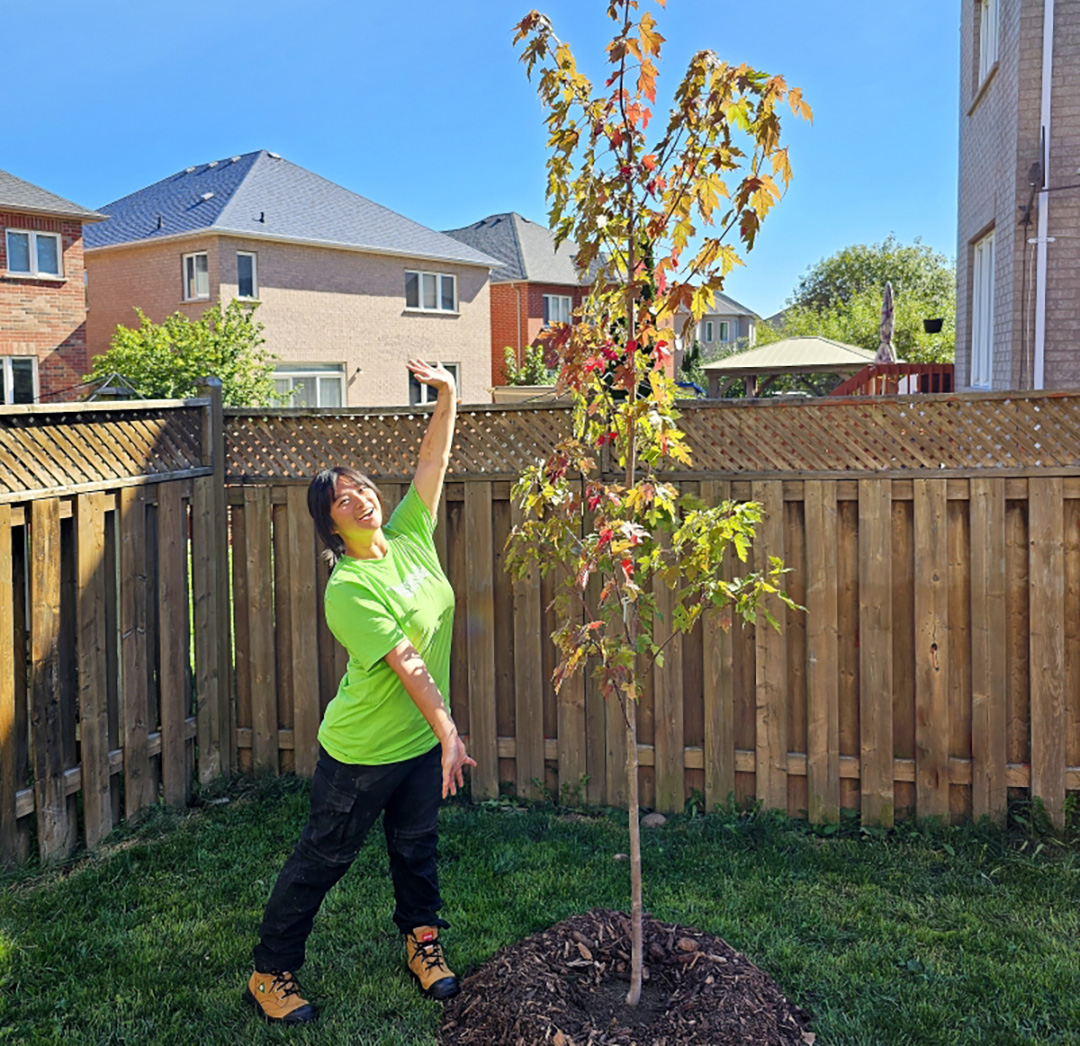 A person stands next to a maple tree wearing a bright green t-shirt.