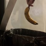 Ritchie_FoodWaste1.jpg