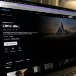 little bird.jpg