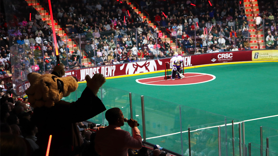 A mascot dressed up as a wolf raises its hands in the air while standing in the audience. A goalie leans on the net on the field.