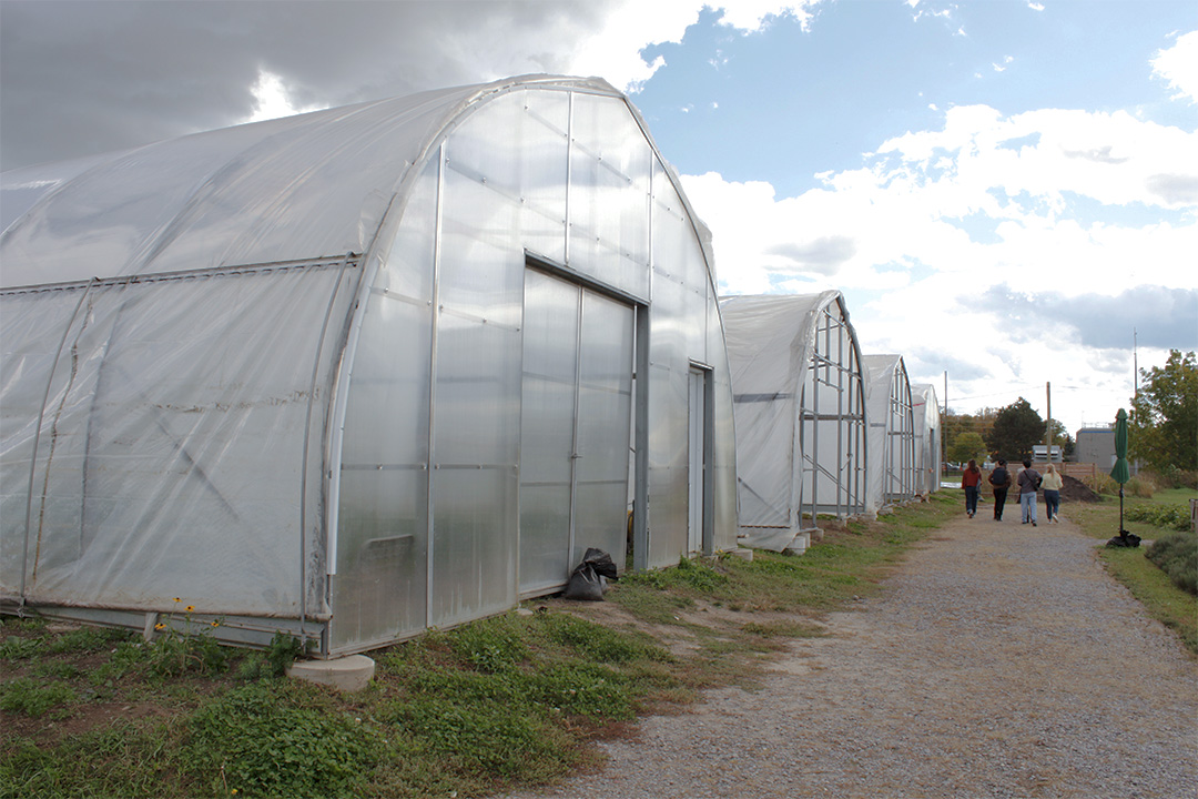 Four greenhouses sit on the left side of the image and four people walk past them on a gravel path on the right side of the image